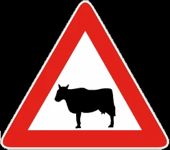 Animali domestici vaganti (liberi)