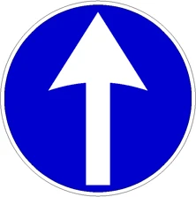 Direzione obbligatoria diritto