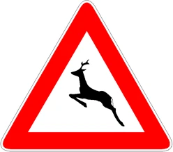 Animali selvatici vaganti